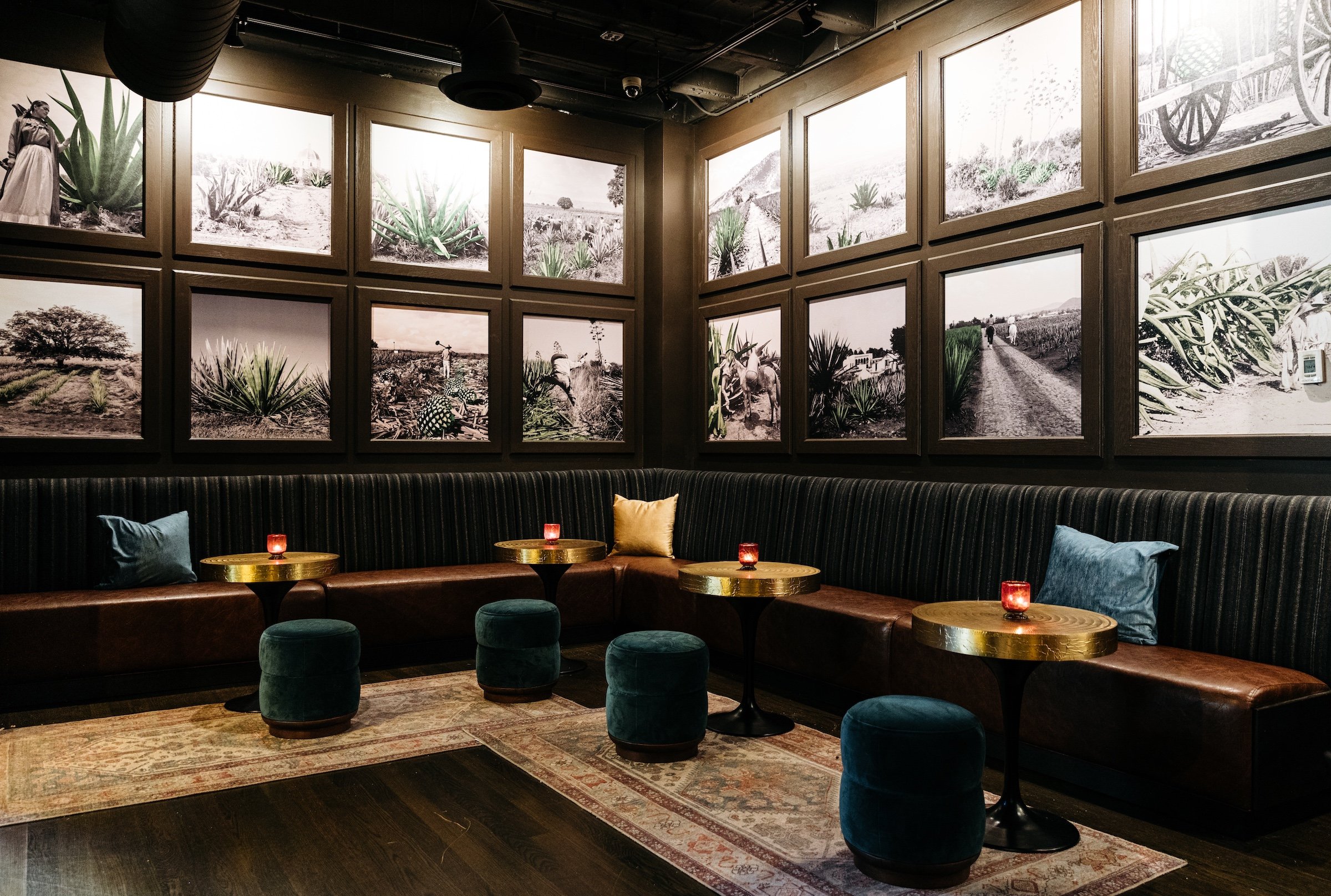 Stylish round tables and couch in Portrait Gallery showing the process of Agave growth from Masa & Agave of Hotel Ivy